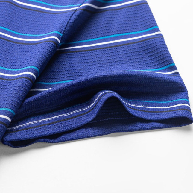 Pierre Cardin Men's Blue Striped Polo Shirt – Silk-Infused Cotton Blend P741TSA005ZQ5S